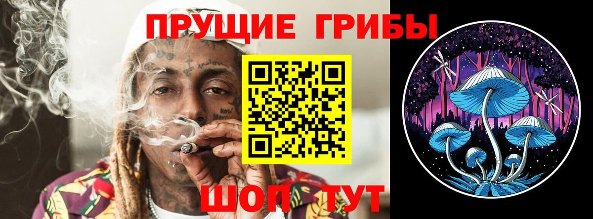 Псилоцибиновые грибы Magic Shrooms  Вход с VPN  купить закладку  Сокол 