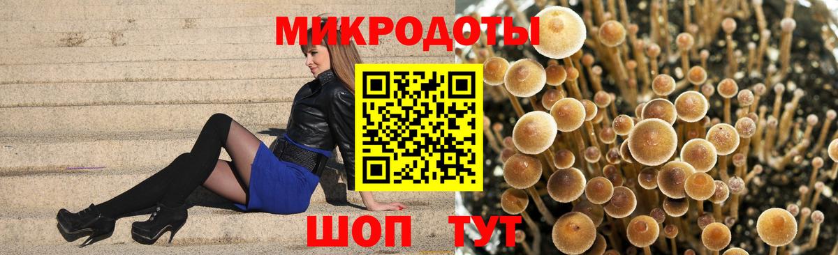 Псилоцибиновые грибы мухоморы Сокол